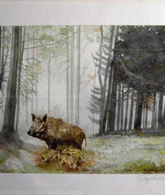 maternit-nel-bosco