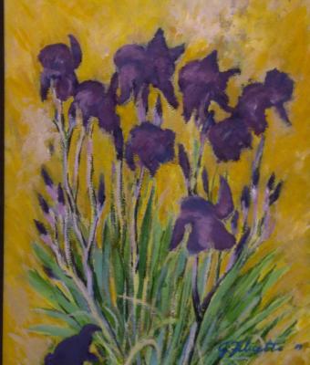iris