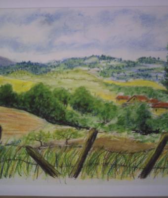 paesaggio-silano