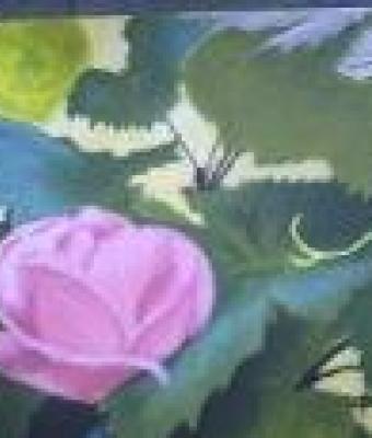 rosa-e-vite