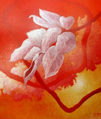 pensieri-sulla-magnolia