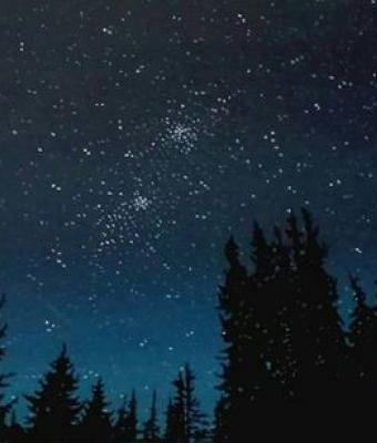 la-notte-stellata