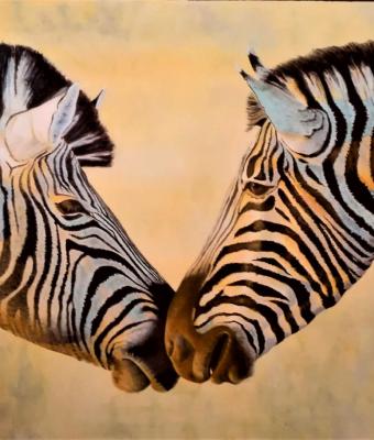 le-zebre