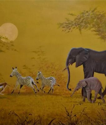 le-bellezze-africane