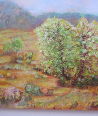 paesaggio-con-fiori-di-mandorl