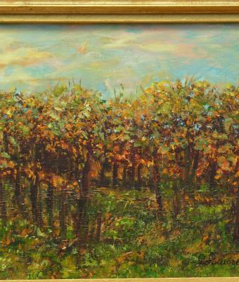 il-vigneto