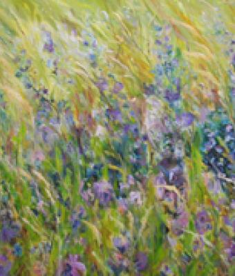 fiori-di-lavanda
