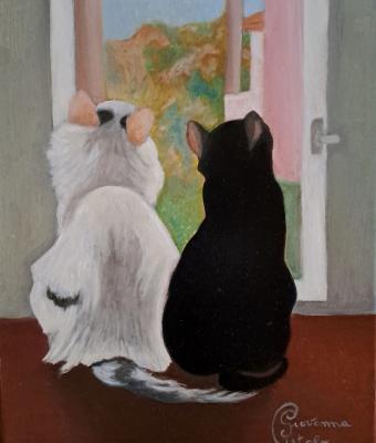 jamba-e-emmet-alla-finestra