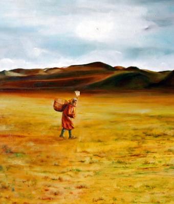 alba-in-mongolia