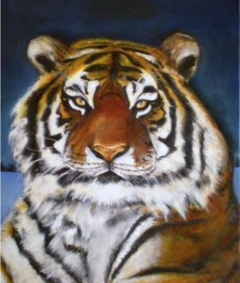 tigre-siberiana