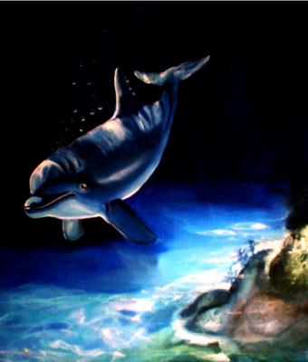 dolphindeep-blue