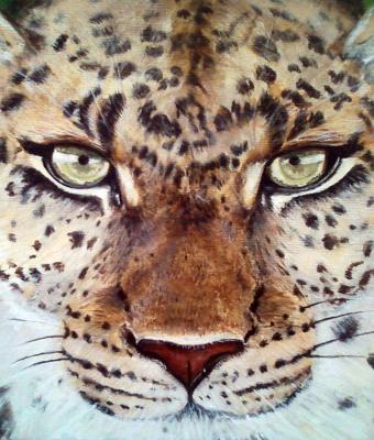 studio-di-testa-di-leopardo
