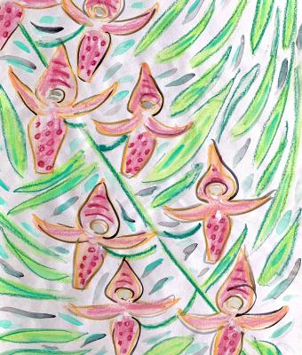 orchidee