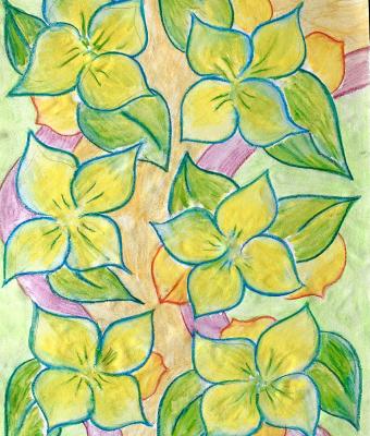 fiori