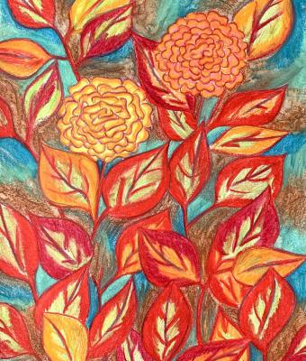 ortensie