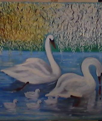 cigni-con-piccoli