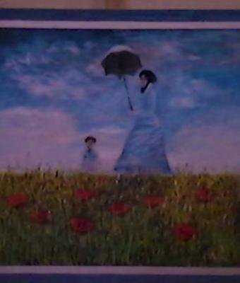 riproduzione-manet