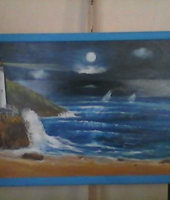 notturno-con-delfini