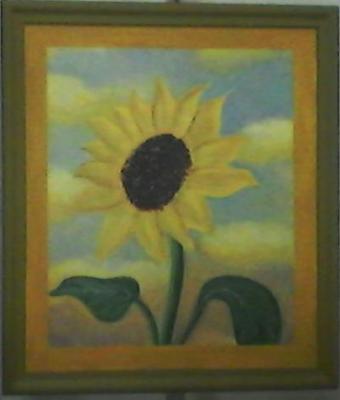 girasole