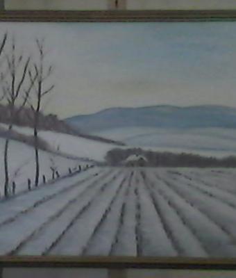 neve-nel-campo