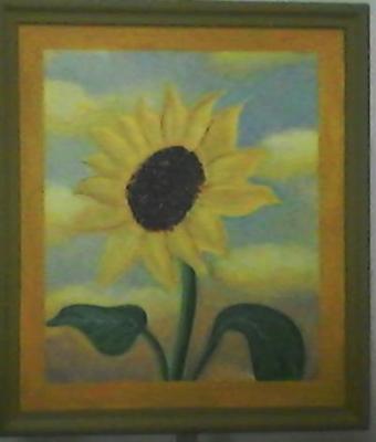 girasole