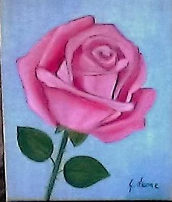 rosa