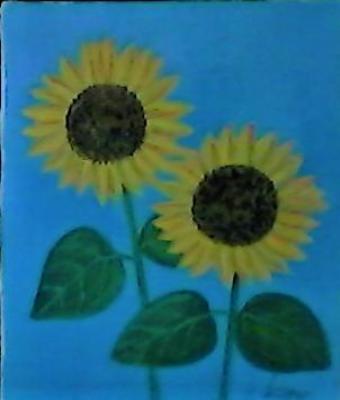 girasoli