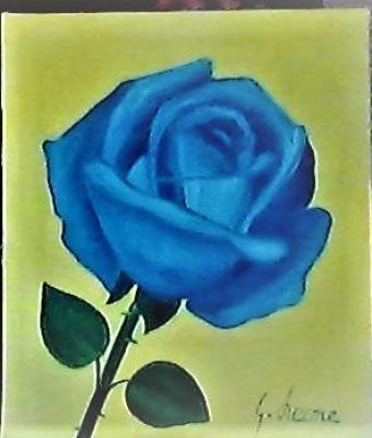 rosa-blu