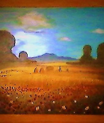 campo-di-grano