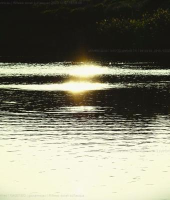 riflessi-dorati-sull-acqua