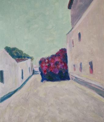 bouganville