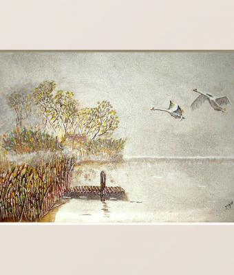 laguna