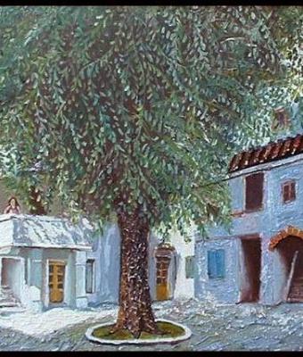 grado-calle-tognon