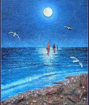 vele-e-gabbiani-sotto-la-luna