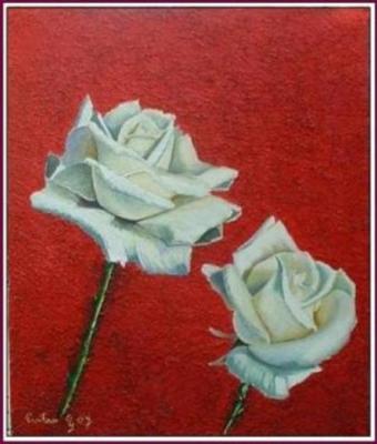 rose-bianche