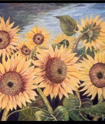 girasoli