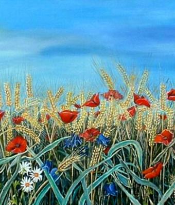 frumento-con-fiori-di-campo