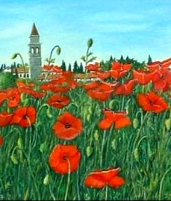 campo-di-papaveri