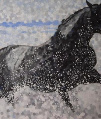 cavallo-in-riva-al-mare