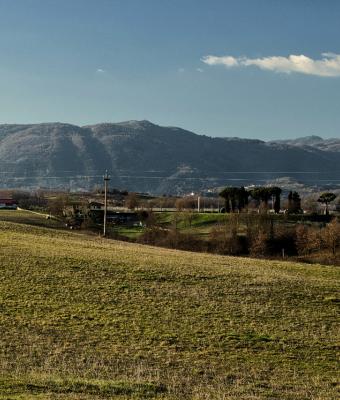 campi-coltivati-paliano-fr-laz