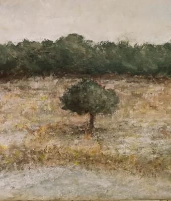 ultimo-albero
