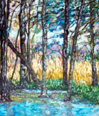 oltre-il-bosco