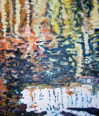 riflessi