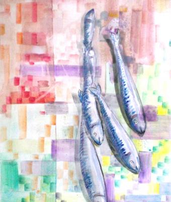 quotpesce-sgombro-in-un-clim