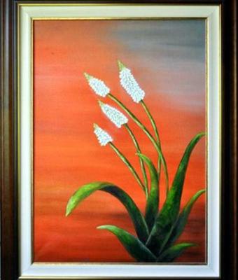 aloe