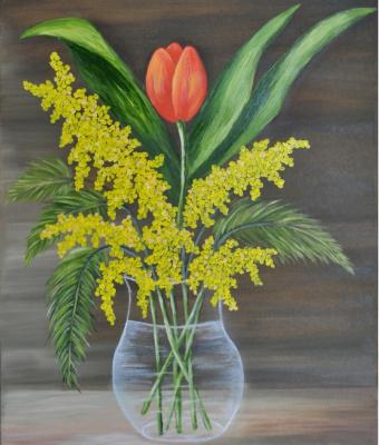 mimosa