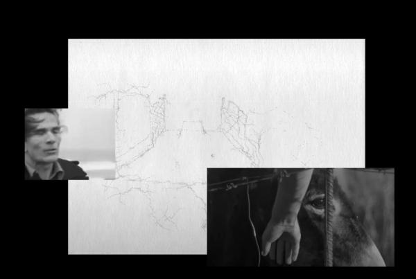 appunti-per-un-cortometraggio-grecanico-la-vedova-e-il-brigante appunti-per-un-cortometraggio-grecanico-la-vedova-e-il-brigante