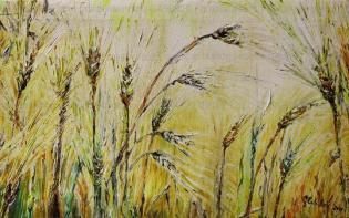 spighe-di-grano