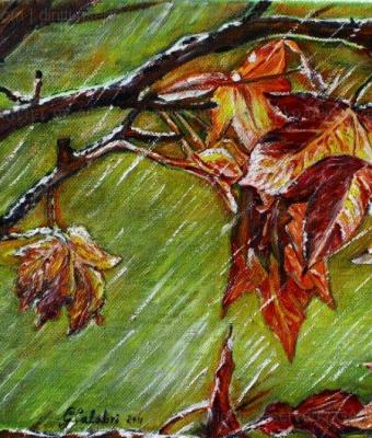 foglie-in-autunno
