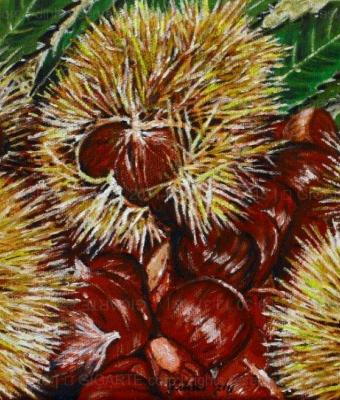 castagne-e-ricci